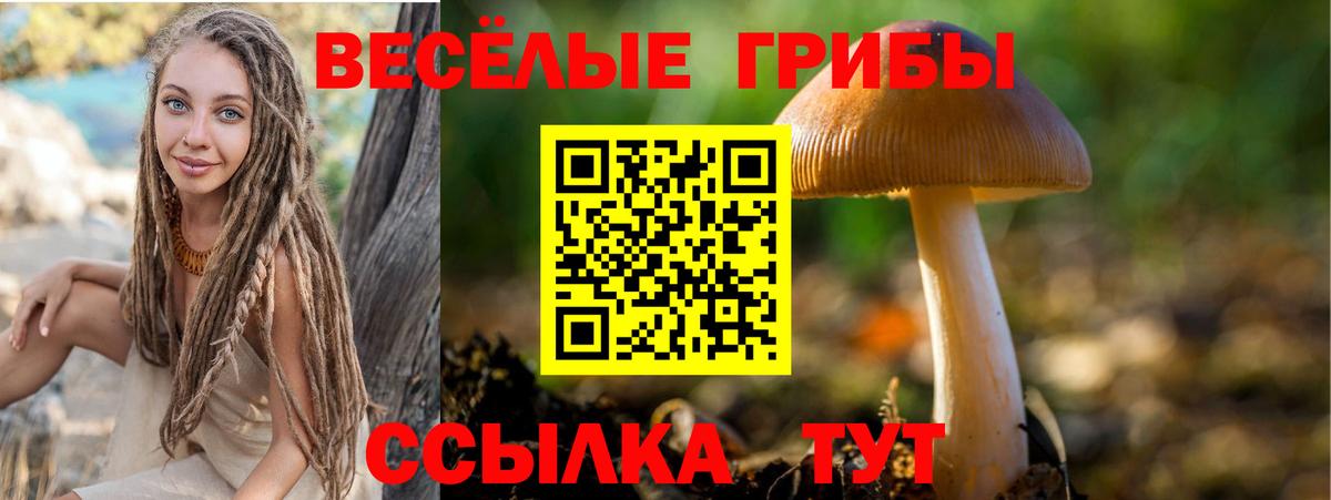 Псилоцибиновые грибы Psilocybine cubensis Дзержинск